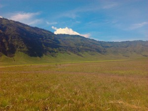 Bromo savanna3  